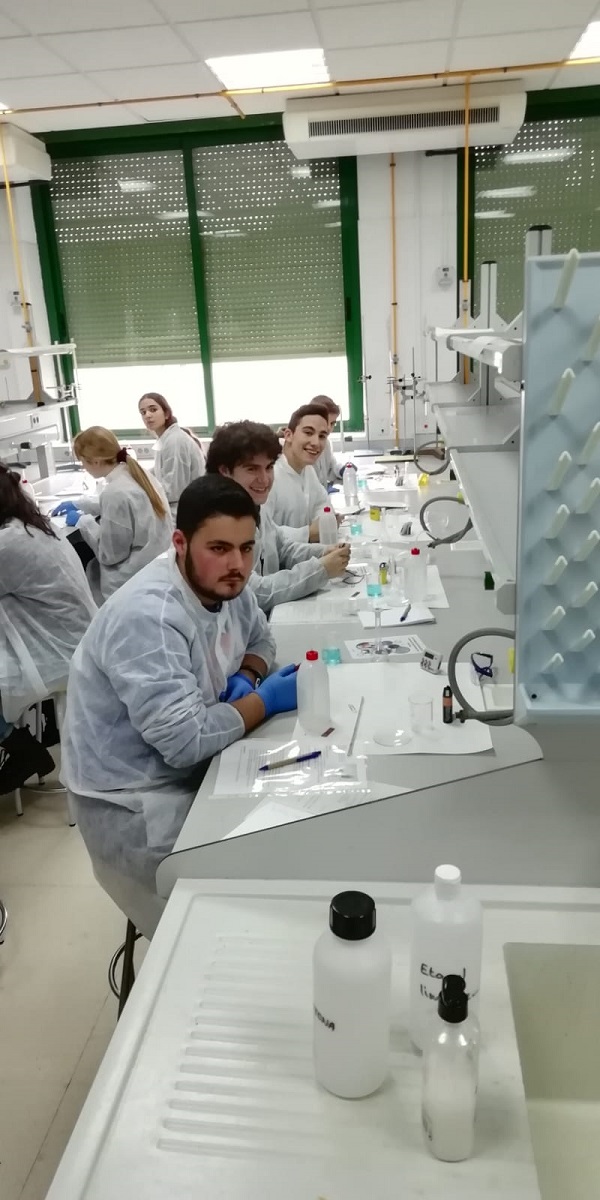 IMG 20190201 WA0006 retocada