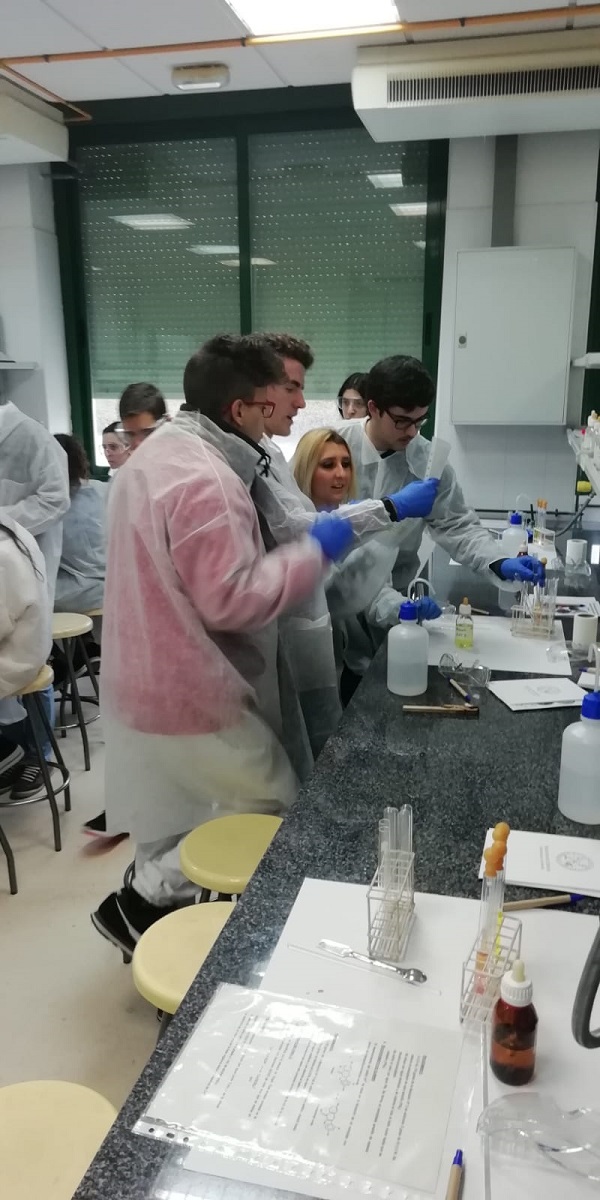 IMG 20190201 WA0008 retocada