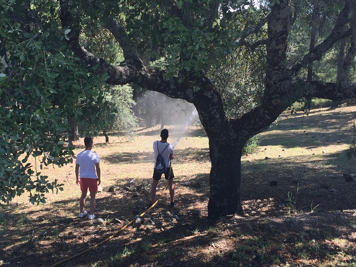 IMG 5474 menos calidad