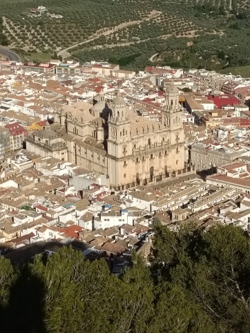 Sin título 1 html a24123e4a42cbd7c