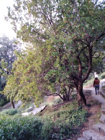 VISITA AL LYCEÉE DES MÉTIERS FRÉDÉRIC MISTRAL DE NIMES DEL 22 AL 26 DE NOVIEMBRE DE 2021 html 219d4ae4b67de18b