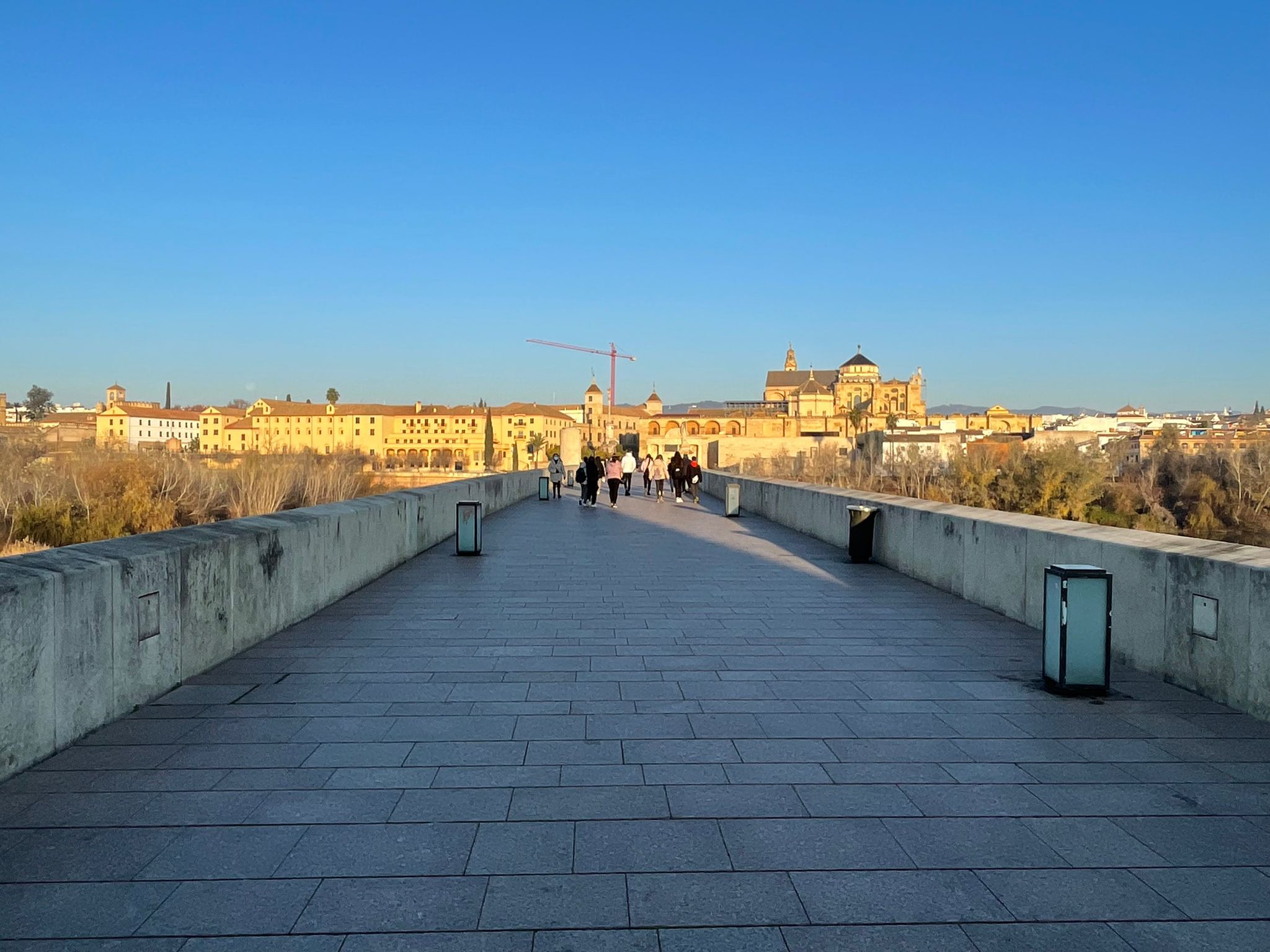 WhatsApp Image 2022 02 01 at 06.53.03